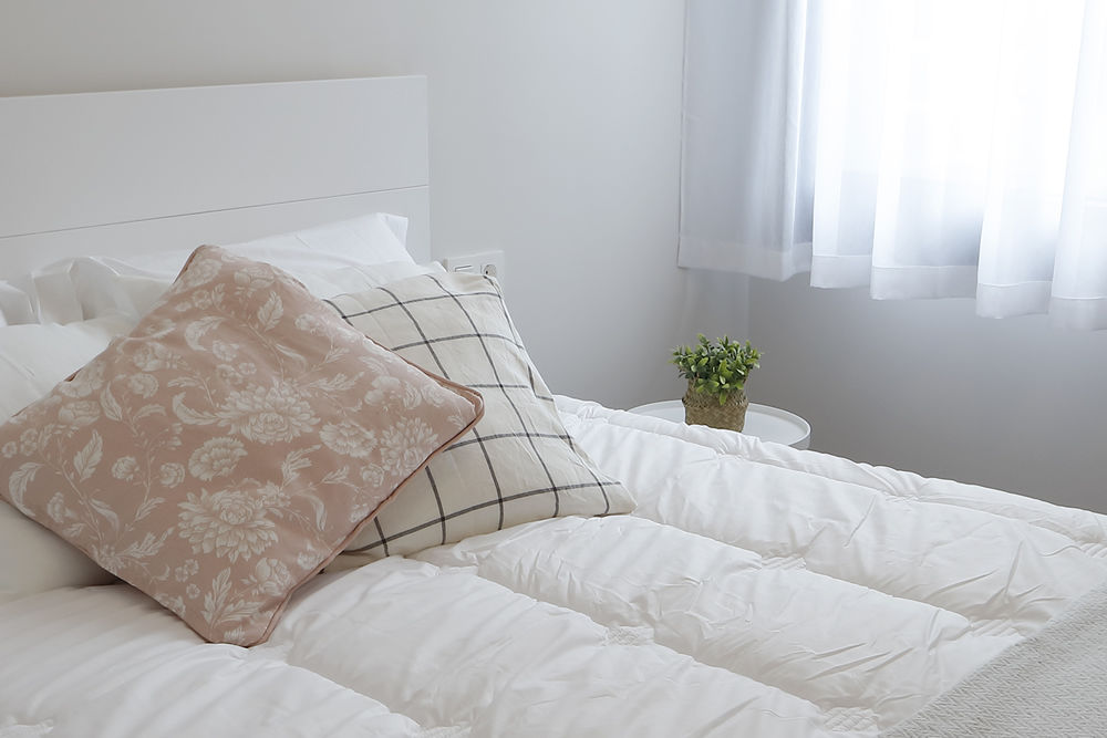 Single room with car in Mutriku